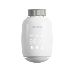 Tesla Smart Zawór termostatyczny TV500
