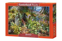 PUZZLE FROM RUSLAND WOODS 2000el CASTORLAND
